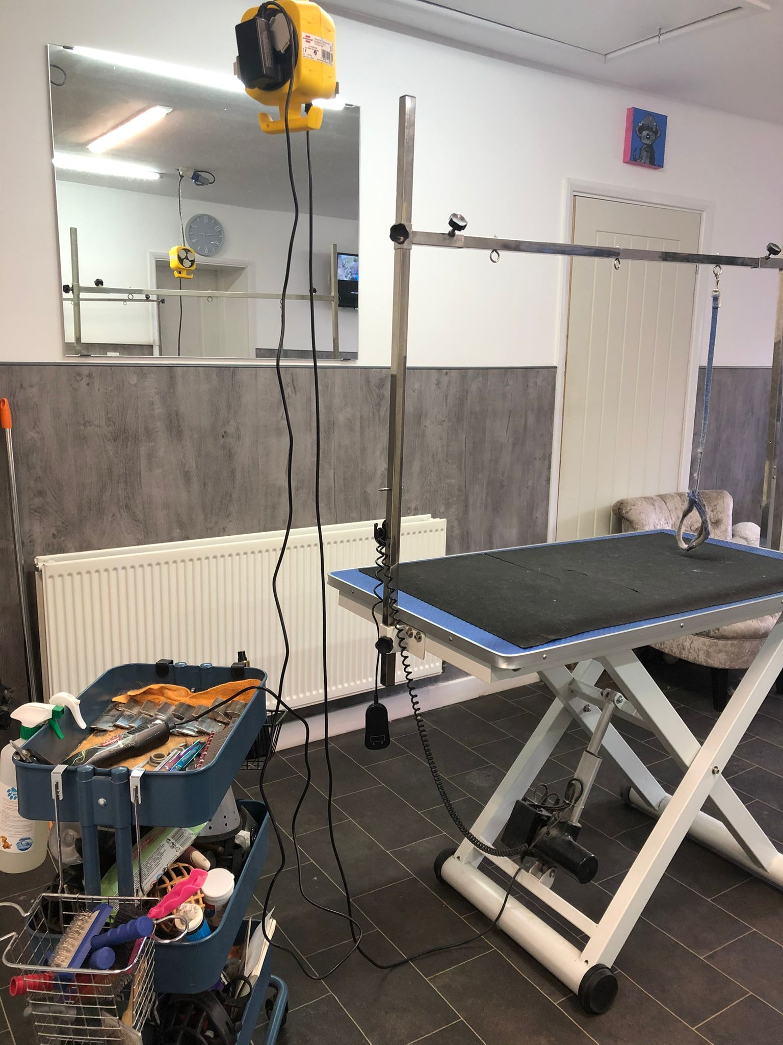 Inside Barking Barn Academy with professional grooming stations and rustic barn setting